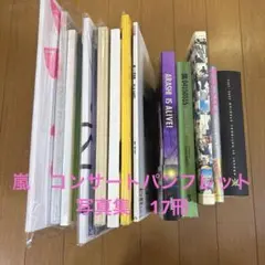 嵐　コンサートパンフレット・写真集17冊　まとめ売り