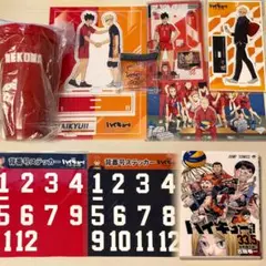 ハイキュー まとめ売り 黒尾鉄朗 月島蛍 音駒 烏野 ゴミ捨て場の決戦 入場特典