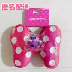 ディズニーパルパルーザ ミニー ファンダーランド リボンキーチェーン カラビナ