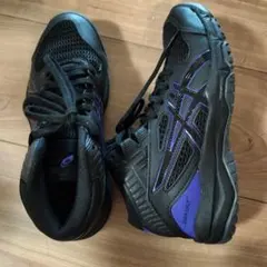 ASICS ダンクショット　バスケットシューズ