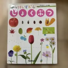 Item thumbnail for item c920ab33-e761-4da7-ad18-9495b71fd334