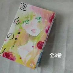 運命の人 【全3巻】