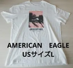 AMERICAN　EAGLE　グラフィック　プリント　Tシャツ USサイズL
