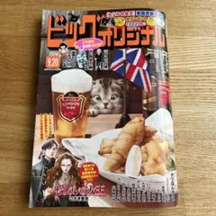 ビッグコミックオリジナル２０２６年　9月20日号