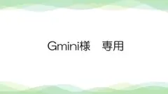 Gmini様　専用