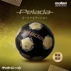 モルテン ペレーダ4900 4号 Molten ゴールドエディション