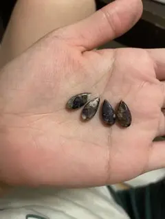 なつこ☆様 リクエスト 2点 まとめ商品