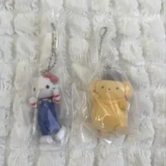 サンリオキャラクターズ　ミニチュアチャーム　ライブキャラクター　2点セット