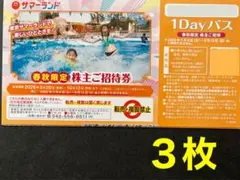 東京サマーランド 1Dayパス 株主優待券 3枚 即日投函 遊園地フリー