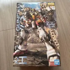 ガンダムw ガンプラ mg ガンダムデスサイズヘル ew 内袋未開封 未組立