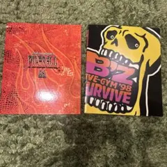 2025年最新】b z ツアーパンフの人気アイテム - メルカリ