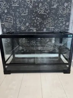 2025年最新】パンテオン6035の人気アイテム - メルカリ