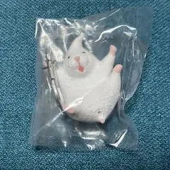 公茶【セット販売強化中｜4/7発送】様 リクエスト 2点 まとめ商品