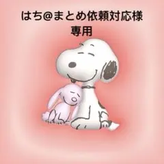 はち@まとめ依頼対応様 リクエスト 6点 まとめ商品