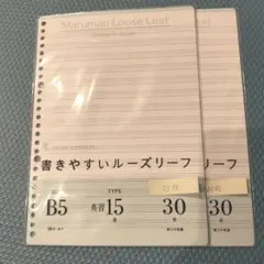 Maruman 書きやすいルーズリーフ 英習15段 2点セット　合計55枚のサムネイル