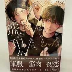 Item thumbnail for item cb4216e4-2b03-4aed-ab28-8d46cdea2ed9