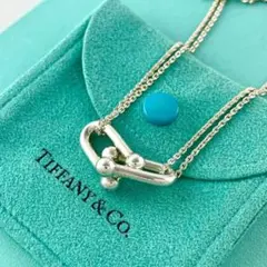 Tiffanyティファニーダブルリンクネックレスシルバーメンズサイズ Tiffanyティファニーダブルリンクネックレスシルバーメンズサイズ
