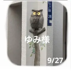 ゆみ様