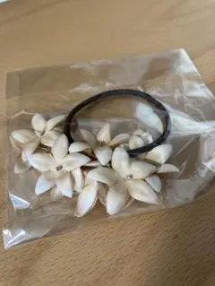 Item thumbnail for item e982ef8d-a12a-44ba-940f-7946b4b55c6f