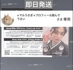 2026年最新】CHECK IN mileの人気アイテム - メルカリ
