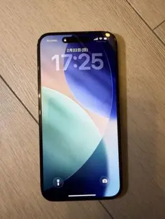 Apple iPhone 15 Plus 128G ブラック　本体