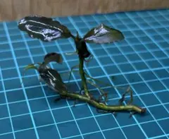 MMM様 リクエスト 3点 まとめ商品