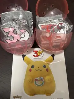 포켓몬 30周年 メタルチャーム ミュウ グラードン 피카츄 限定 シール