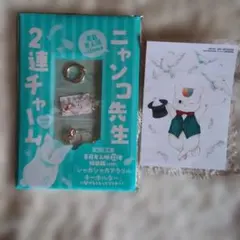 ニャンコ先生 アニメイト通販特典ブロマイド＆ふろくチャーム 夏目友人帳