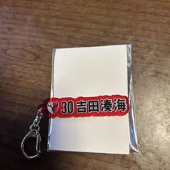 鹿島アントラーズ 30 吉田湊海 キーホルダー