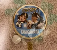 若鷹ガチャ VICTORY 谷川原健太 缶バッジ