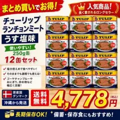 チューリップ ランチョンミート うす塩 12缶 250g 保存食 備蓄 スパムのサムネイル