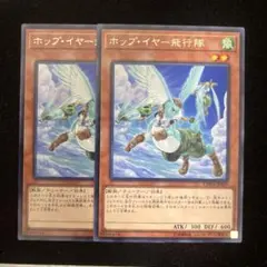 ホップイヤー飛行隊　管理番号ｅ