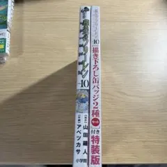 葬送のフリーレン 10 特装版　書き下ろし缶バッジ2種セット　限定版