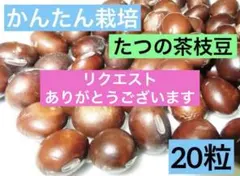 nekoko3123様 リクエスト 3点 まとめ商品