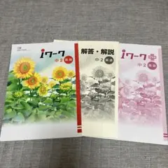 iワーク 中2 国語 三省堂