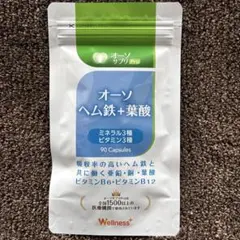 オーソサプリ ヘム鉄＋葉酸X 90粒 - メルカリ