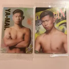 RIZINウエハース　第一弾・第二弾　YA-MAN