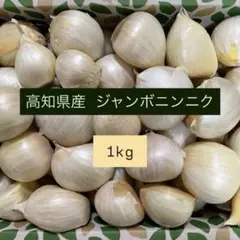 千葉県産 ジャンボニンニク1kg栽培期間中農薬不使用 - メルカリ