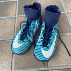 Item thumbnail for item 4b81e69f-eaff-4846-a739-d6b5679cb501