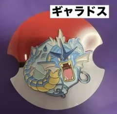 ポケモン 韓国 30周年 シークレットフォレスト ピンバッジ ドドゲザン