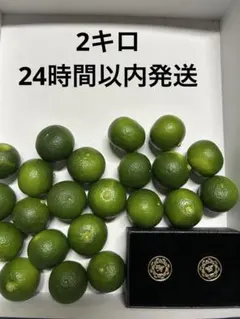 ハウススダチ 家庭用 5キロ 落札者様購入至らず即発送になります