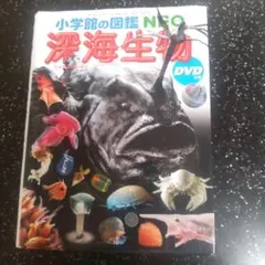 深海生物大事典 = THE ENCYCLOPEDIA OF DEEP-SEA … Amazon.co.jp: 深海生物大事典 : 佐藤 孝子: 本