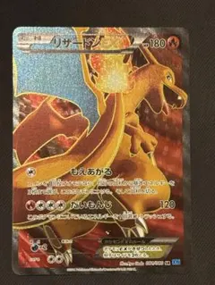 リザードンEX SR XY 拡張パック「ワイルドブレイズ」 キラ 081/080