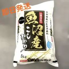 {即日発送}新潟県産 魚沼産こしひかり 5kg 無洗米のサムネイル