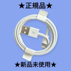 ★正規品新品未使用★Apple USB-A to Lightningケーブル純正