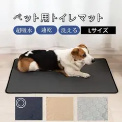 Item thumbnail for item fc4dafd1-5dc9-4193-af53-fd88c7167780