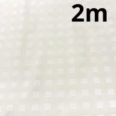 最終出品★5枚限り★シーチング★アイボリー★