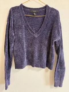 FOREVER 21 パープル 長袖 ニット Vネックのサムネイル