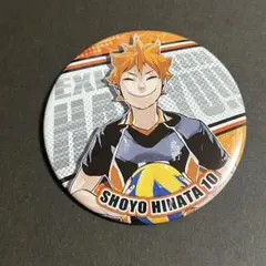 ハイキュー‼︎ コレクション缶バッジ 第7弾 日向翔陽