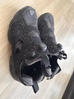 Reebok インスタポンプフューリー